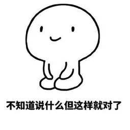 东营_新澳2025天天正版资料大全,暴露证实请全面释义、解释与落实